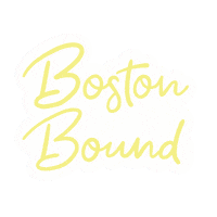 TiffanyHoughton boston bostonbound tiffanyhoughtonboston Sticker