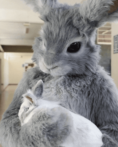 Proud Pride GIF by Tubi