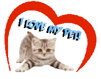 Guinea Pig Love Sticker