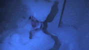 Happy Bubbles GIF by Where's My Challenge?