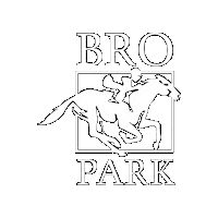 Horses Jockey Sticker by Svensk Galopp
