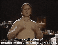 carl sagan life GIF