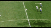 diego maradona GIF