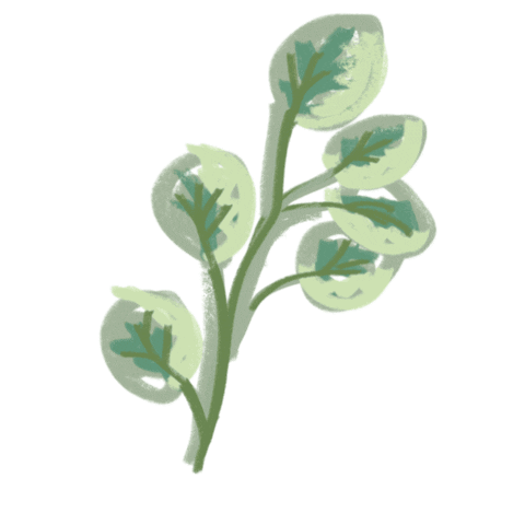 happy flower Sticker by Ivo Adventures