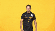 Nick Nelson Sport GIF by Cal State LA Golden Eagles