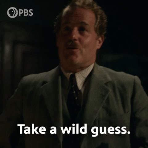 Take A Wild Guess