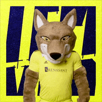 Mascot Tempo GIF by Nashville SC