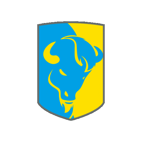 Dpfc Sticker by FSDK