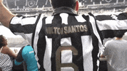 botafogo  GIF
