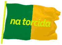 Timebrasil Sticker by Petrobras