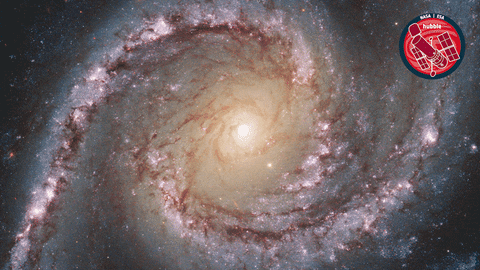 Stars Glowing GIF by ESA/Hubble Space Telescope