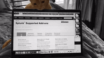 Excuse Me Cat GIF by Splunk