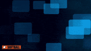 Carson Newman Cnsb GIF by Carson-Newman Athletics