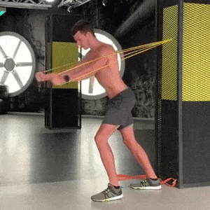 primazon giphyupload GIF