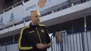 Volleyball Gieksa GIF by GKS Katowice