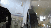 fitness workout GIF by FSU Campus Rec