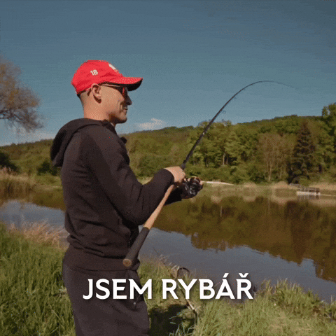 Film Fish GIF by SK Slavia Praha