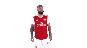 Premier League Dancing Sticker by Arsenal