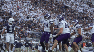 Northwestern Football Wildcats GIF by Northwestern Athletics