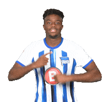 Football Bundesliga Sticker by Hertha BSC