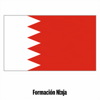 Flag Bandera GIF by Formación Ninja