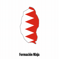 Flag Bandera GIF by Formación Ninja