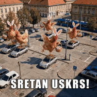 Happy Chicken GIF by Verne Robotaxi