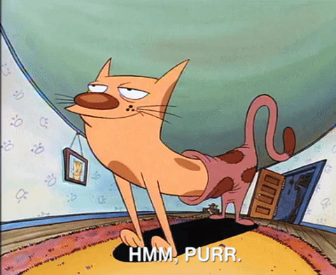 nicksplat GIF
