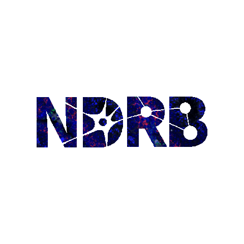 utsaNDRB giphygifmaker utsa ndrb utsandrb Sticker