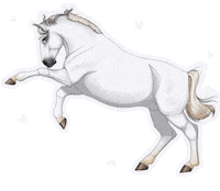 Horse White Bolero Sticker