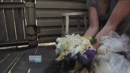 kendall jenner hunt GIF
