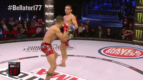GIF by Bellator