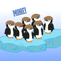 Give It To Me GIF by Pudgy Memez