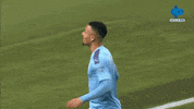 Happy Gabriel Jesus GIF by MolaTV