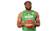 Game Basketball Sticker by FIBA