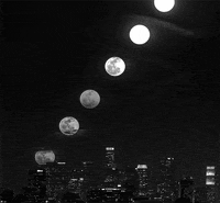 black and white night GIF