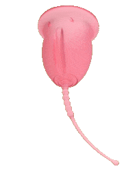 Menstrual Cup Sticker by enna women