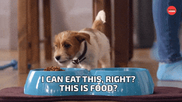 This is food?