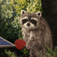 no surprises wow GIF by Hotels.com