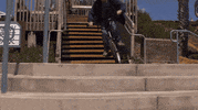 bike ride GIF by Animal Kingdom on TNT