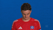 Look Up Hamburger Sv GIF by Bundesliga