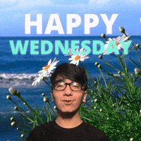 Happy Wednesday