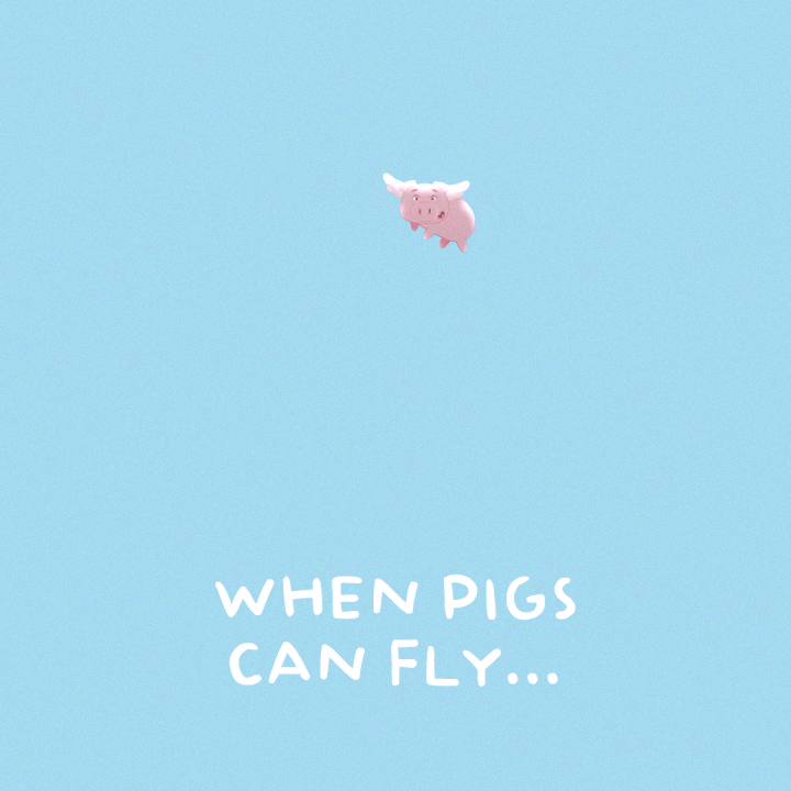 Flying Pig GIF by PositivelyPigasus