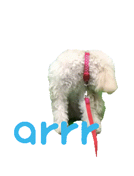 아르르 Sticker by arrr_official