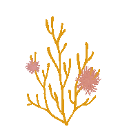 Marine Life Ocean Sticker