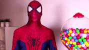 GIF by Webs & Tiaras
