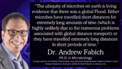 The Flood Christian GIF