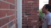 Well Done Yes GIF by Film Riot