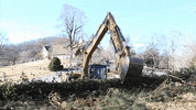 Cat Heavy Equipment GIF by JC Property Professionals