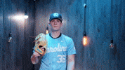 University Of North Carolina Baseball GIF by UNC Tar Heels